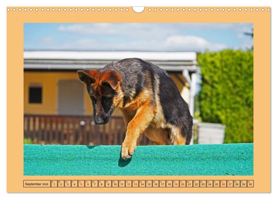 InsideView 14