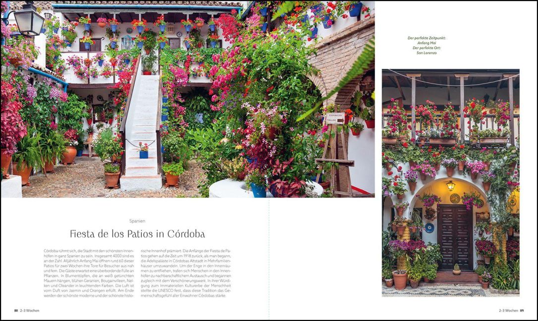 InsideView 1