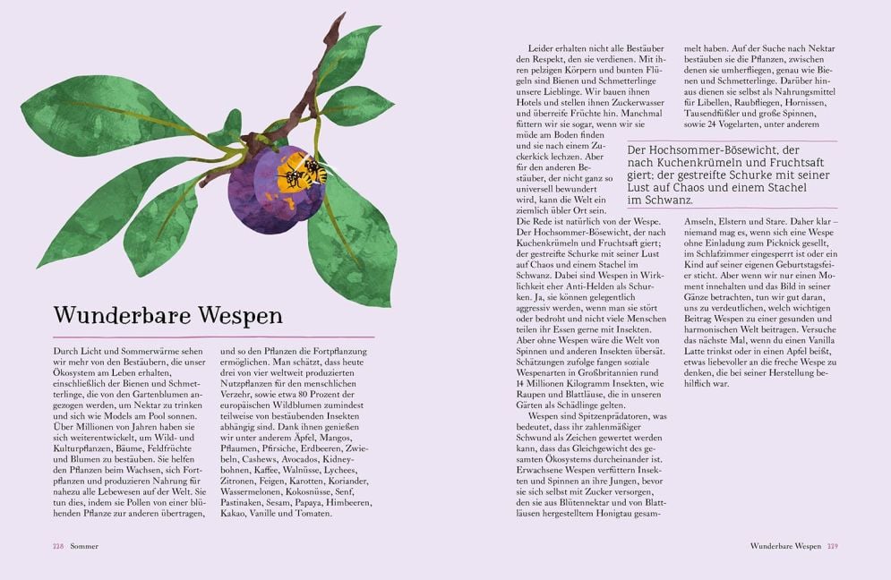 InsideView 10