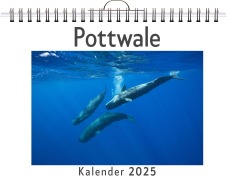 Cover-Bild zum Titel 'Pottwale' von 'Nora Fuchs'