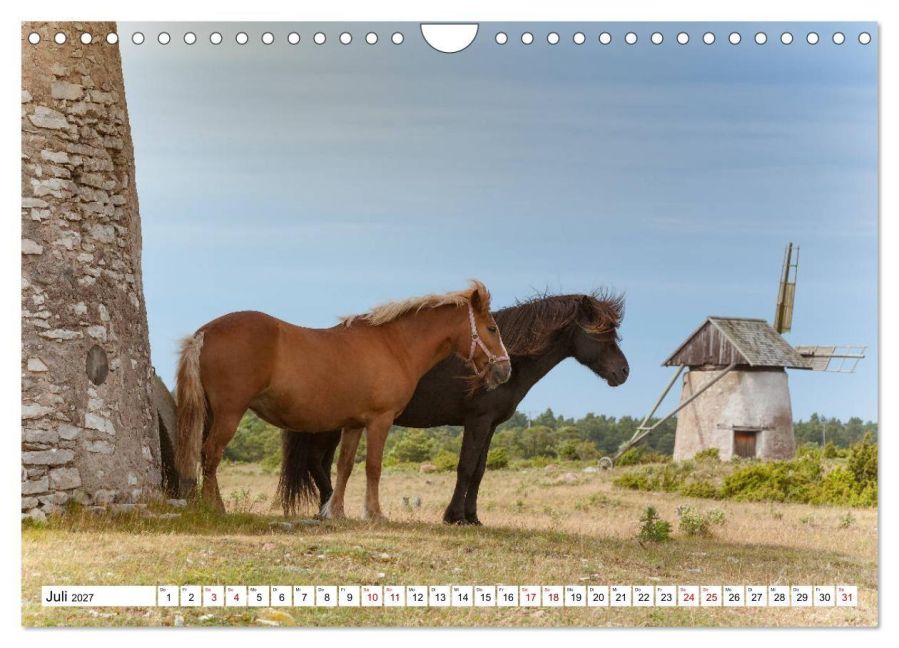 InsideView 12