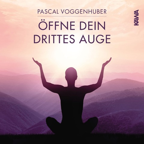 Öffne dein drittes Auge - Pascal Voggenhuber