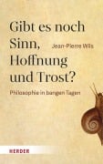 Cover-Bild zum Titel 'Gibt es noch Sinn, Hoffnung und Trost?' von 'Jean-Pierre Wils'