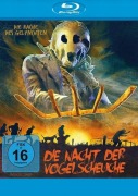 Cover-Bild zum Titel 'Die Nacht der Vogelscheuche' von 'J. D. Feigelson, Butler Handcock, Glenn Paxton'
