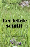 Cover-Bild zum Titel 'Der letzte Schliff' von 'Walter Orlov'