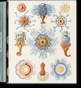 Cover-Bild zum Titel 'The Art and Science of Ernst Haeckel' von 'Julia Voss, Rainer Willmann'