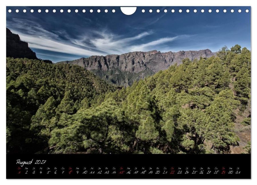 InsideView 13