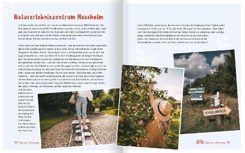 InsideView 2