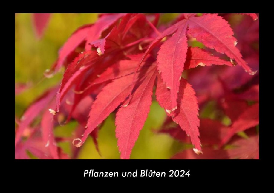 Pflanzen und Blüten 2024 Fotokalender DIN A3 - Tobias Becker