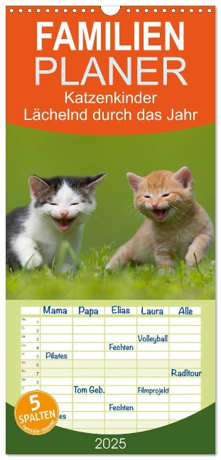 Familienplaner 2025 - Lächelnd durchs Jahr - Katzenkinder -Familienplaner hoch mit 5 Spalten (Wandkalender, 21 x 45 cm) CALVENDO - Susanne Danegger