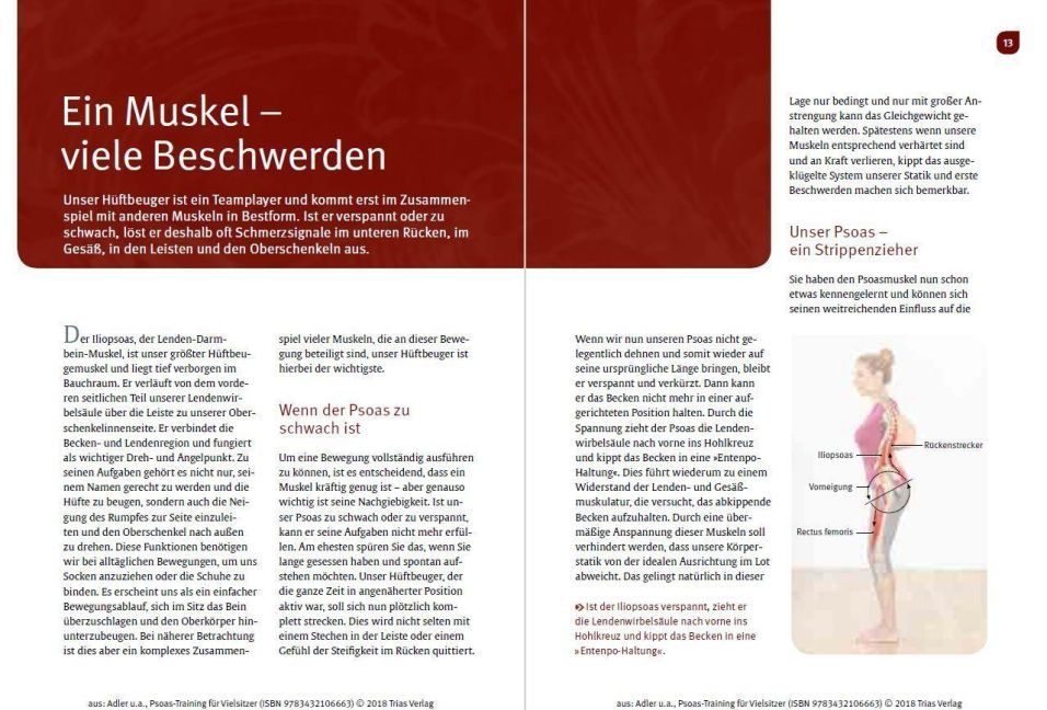 InsideView 2