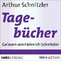 Cover-Bild zum Titel 'Arthur Schnitzlers Tagebücher' von 'Arthur Schnitzler'