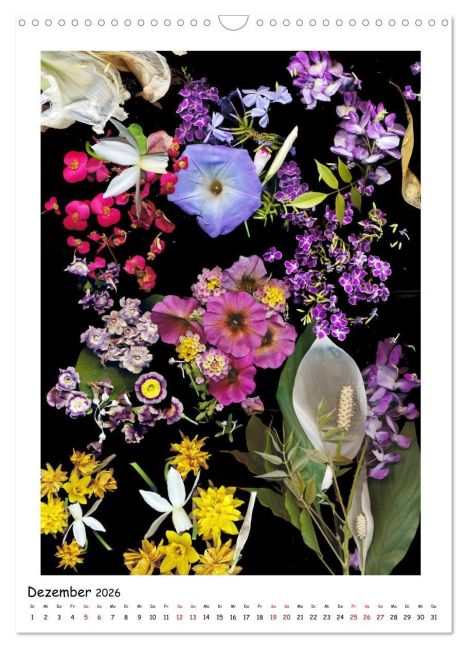 InsideView 4