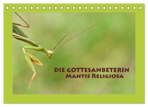 Die Gottesanbeterin Mantis Religiosa (Tischkalender 2025 DIN A5 quer), CALVENDO Monatskalender - Gugigei Gugigei