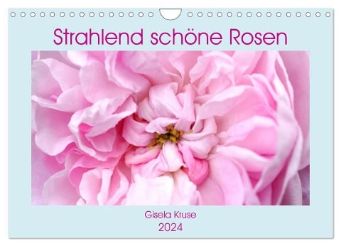 Strahlend schöne Rosen (Wandkalender 2024 DIN A4 quer), CALVENDO Monatskalender - Gisela Kruse