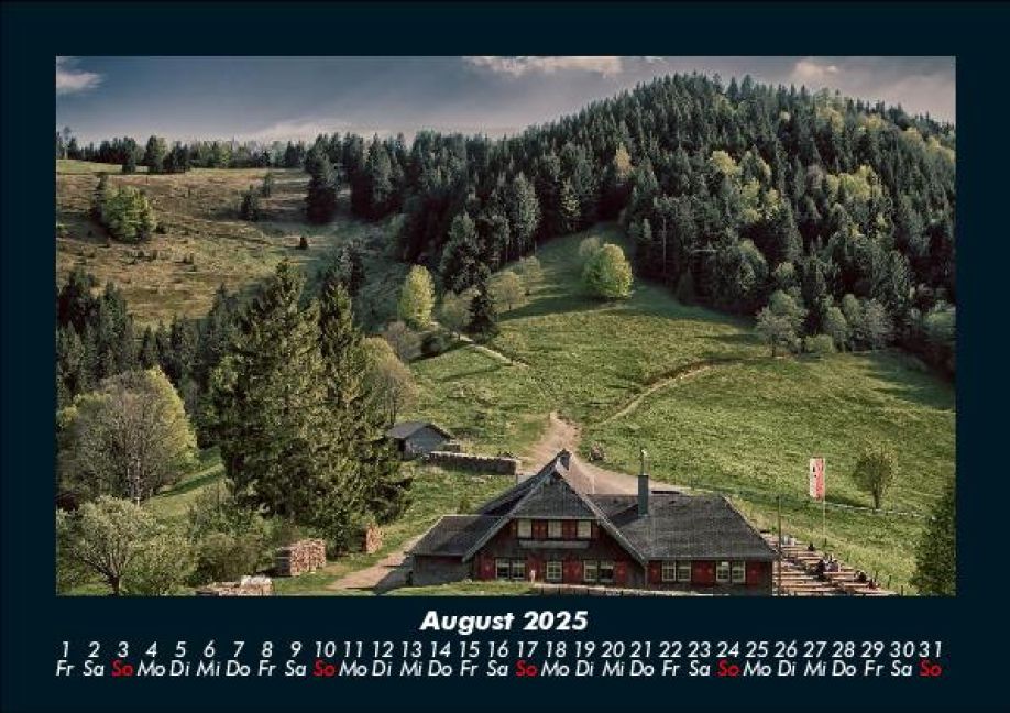 InsideView 12