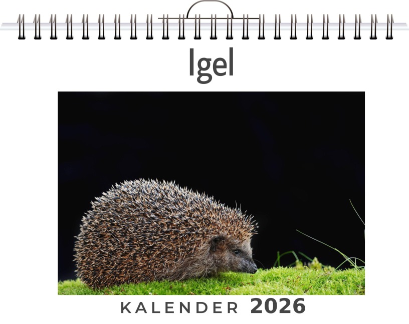 Igel - Emily Herrmann