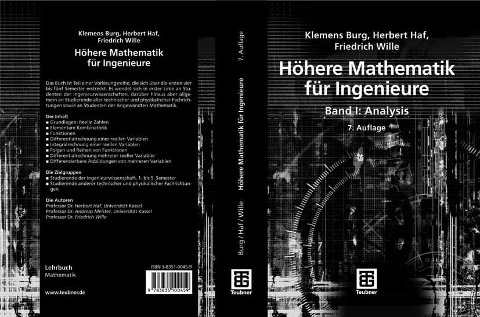 Höhere Mathematik für Ingenieure Band I - Klemens Burg, Herbert Haf, Friedrich Wille