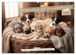 Cover-Bild zum Titel 'Welpenglück mit Nebenwirkungen (Wandkalender 2027 DIN A2 quer), CALVENDO Monatskalender' von 'Anne Seltmann'