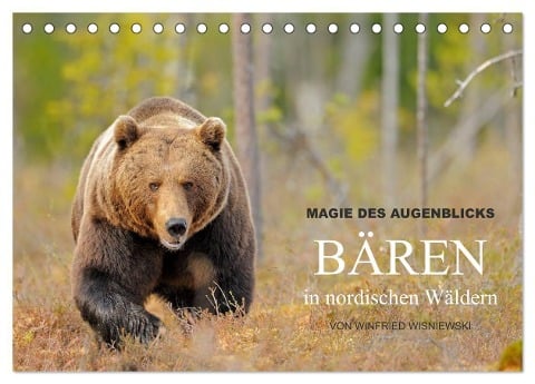 Magie des Augenblicks - Bären in nordischen Wäldern (Tischkalender 2024 DIN A5 quer), CALVENDO Monatskalender - Winfried Wisniewski