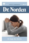 Cover-Bild zum Titel 'Im Auge des Sturms' von 'Patricia Vandenberg'
