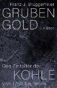 Cover-Bild zum Titel 'Grubengold' von 'Franz-Josef Brüggemeier'