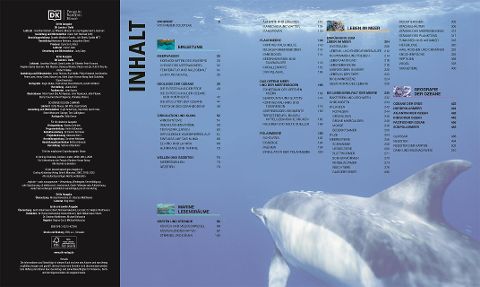 InsideView 1