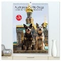 Australian Cattle Dogs auf der Darmstädter Mathildenhöhe (hochwertiger Premium Wandkalender 2025 DIN A2 hoch), Kunstdruck in Hochglanz - Fotodesign Verena Scholze