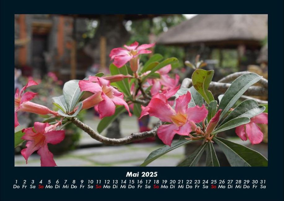 InsideView 9
