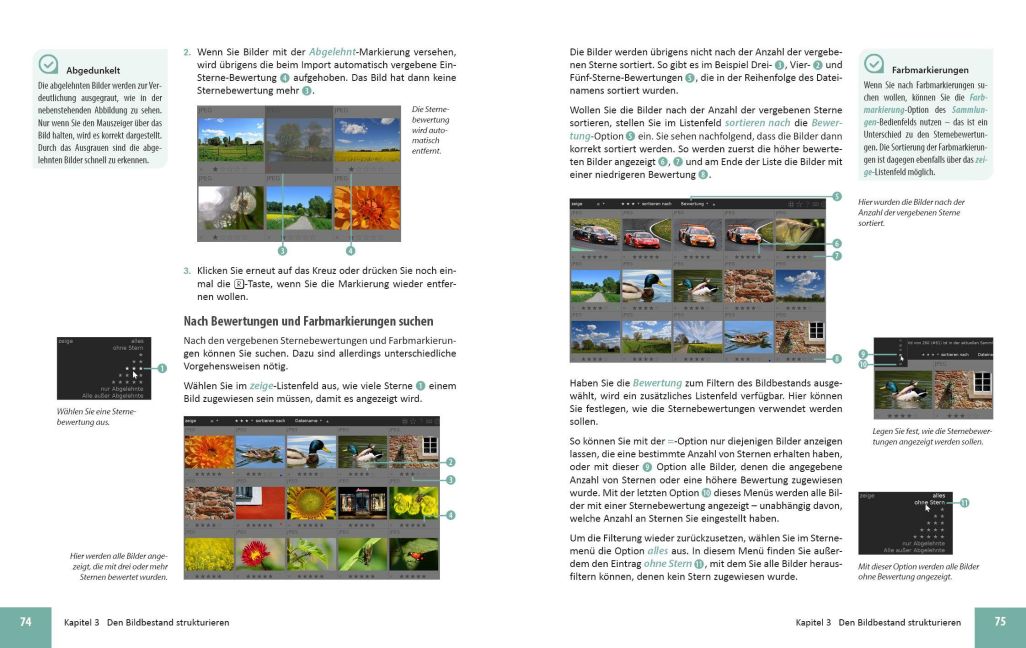 InsideView 3