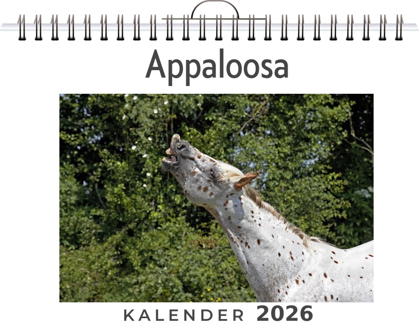 Appaloosa - Paul Scholz