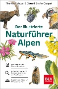 Cover-Bild zum Titel 'Der illustrierte Naturführer Alpen' von 'Thomas Schauer, Stefan Caspari'