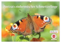 Cover-Bild zum Titel 'GEOclick Lernkalender: Porträts einheimischer Schmetterlinge (Wandkalender 2027 DIN A2 quer), CALVENDO Monatskalender' von 'Klaus Feske GEOclick Lernkalender'