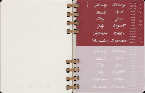 InsideView 11