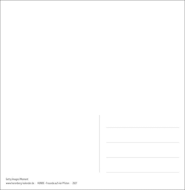 InsideView 2