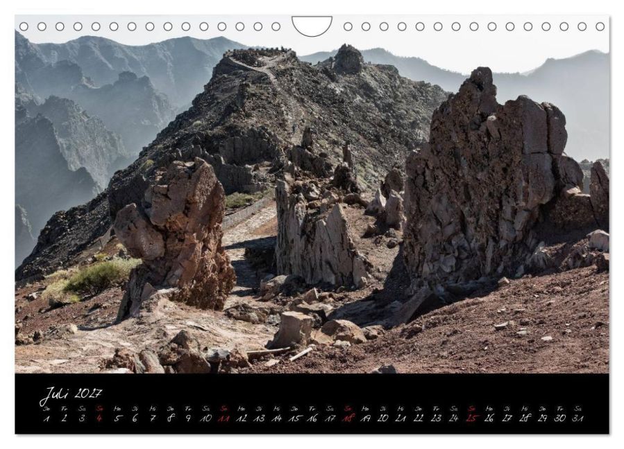 InsideView 12