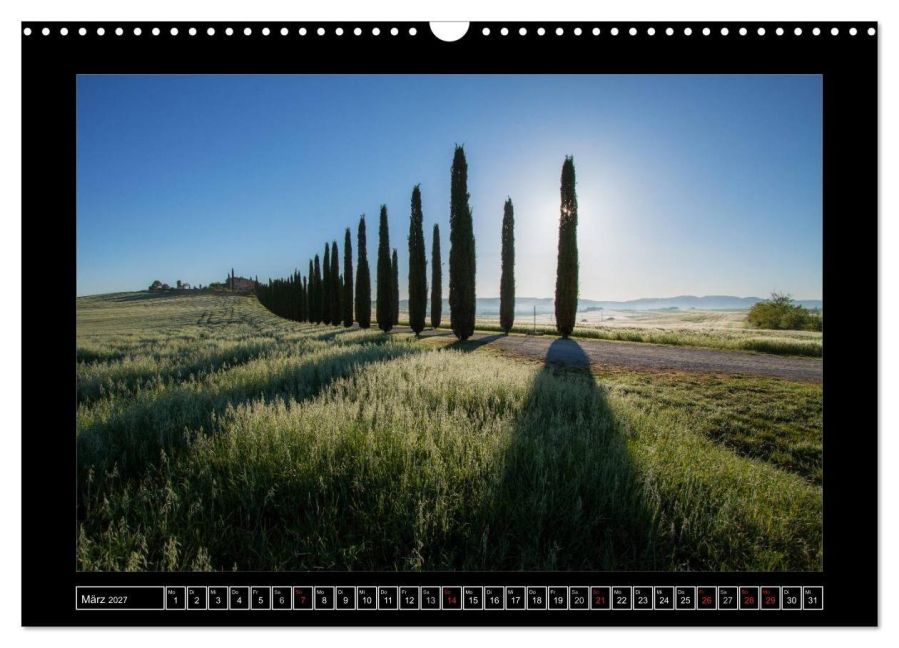 InsideView 8