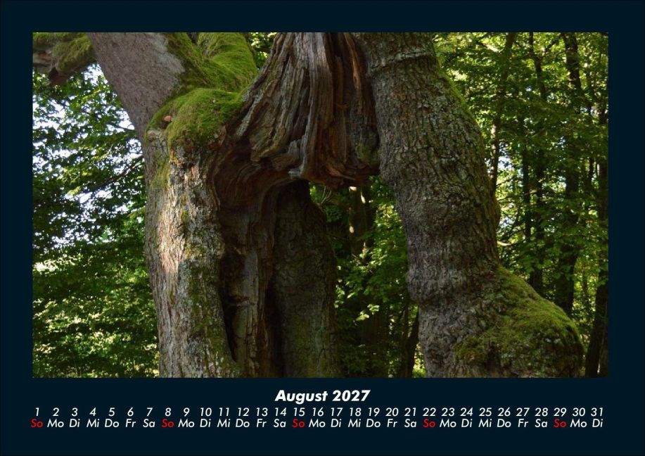 InsideView 12