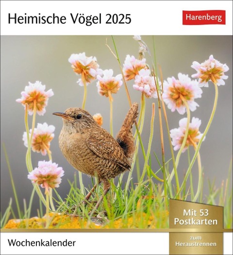 Heimische Vögel Postkartenkalender 2025 - Wochenkalender mit 53 Postkarten - 