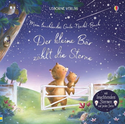Mein leuchtendes Gute-Nacht-Buch: Der kleine Bär zählt die Sterne - Sam Taplin