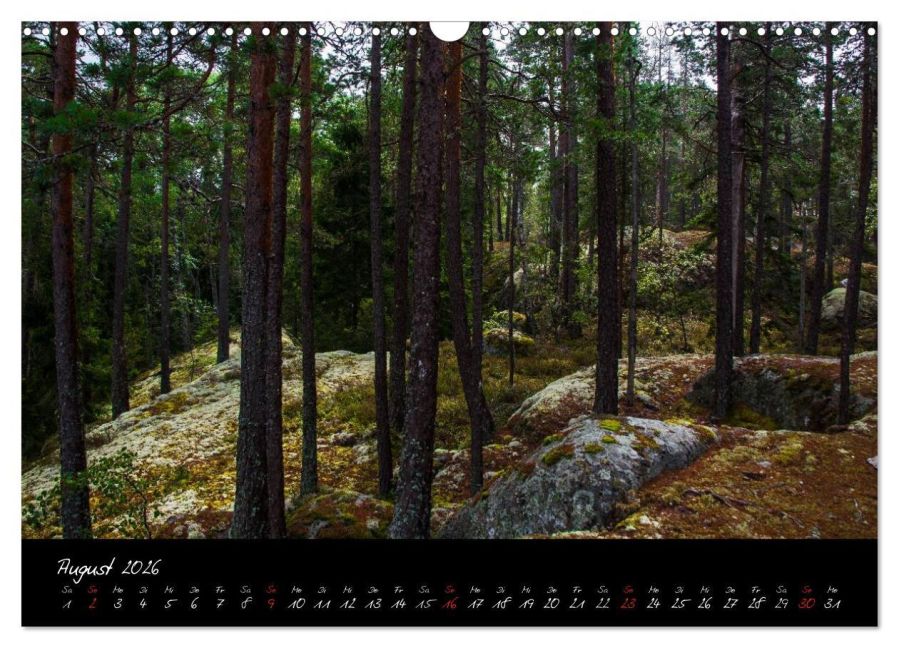 InsideView 13