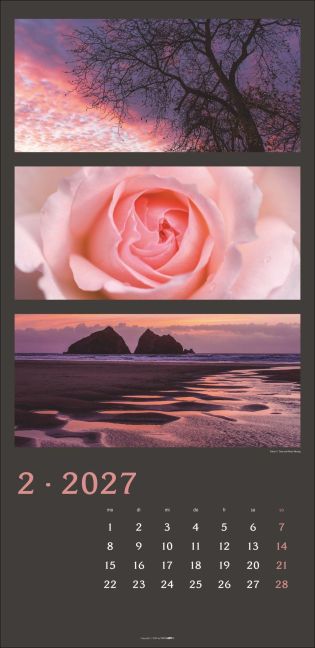 InsideView 2