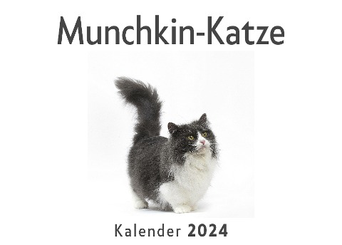 Munchkin-Katze (Wandkalender 2024, Kalender DIN A4 quer, Monatskalender im Querformat mit Kalendarium, Das perfekte Geschenk) - Anna Müller