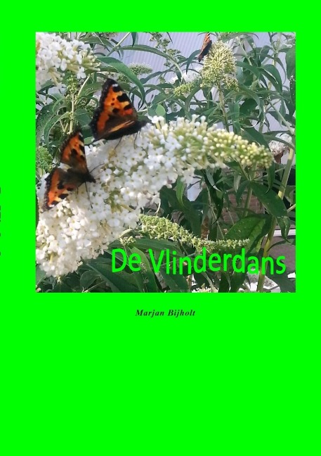 De Vlinderdans - Marjan Bijholt