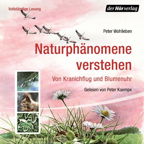 Naturphänomene verstehen - Peter Wohlleben