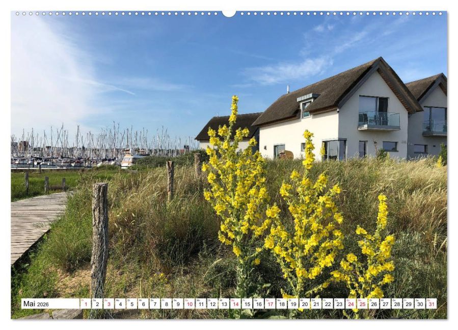 InsideView 9