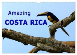 Amazing Costa Rica (Wall Calendar 2026 DIN A3 landscape), CALVENDO 12 Month Wall Calendar - Berlin Schoen