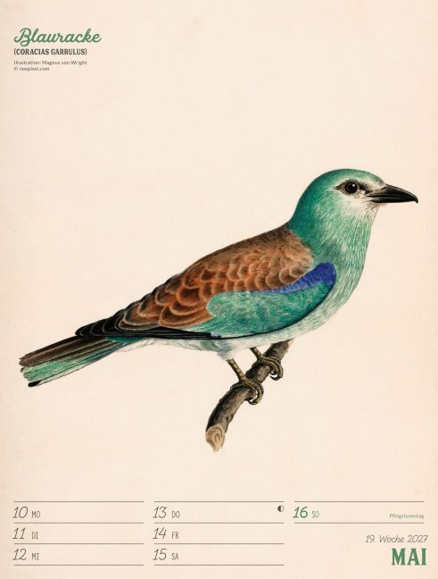 InsideView 23