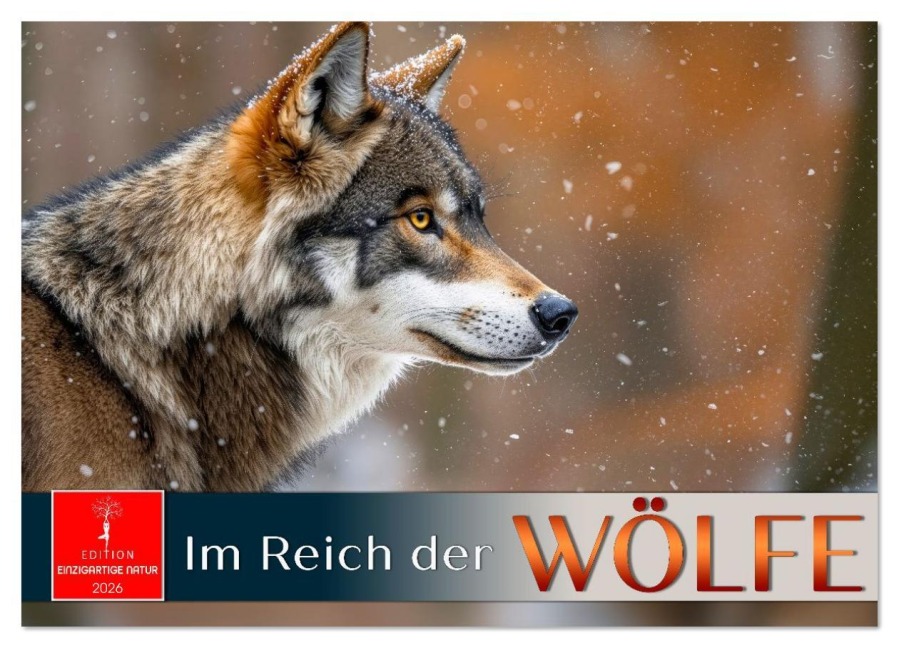 Im Reich der Wölfe (Wandkalender 2026 DIN A4 quer), CALVENDO Monatskalender - Roder Roder