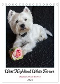 West Highland White Terrier - Herzensbrecher auf vier Pfoten (Tischkalender 2024 DIN A5 hoch), CALVENDO Monatskalender - Angela Rohde